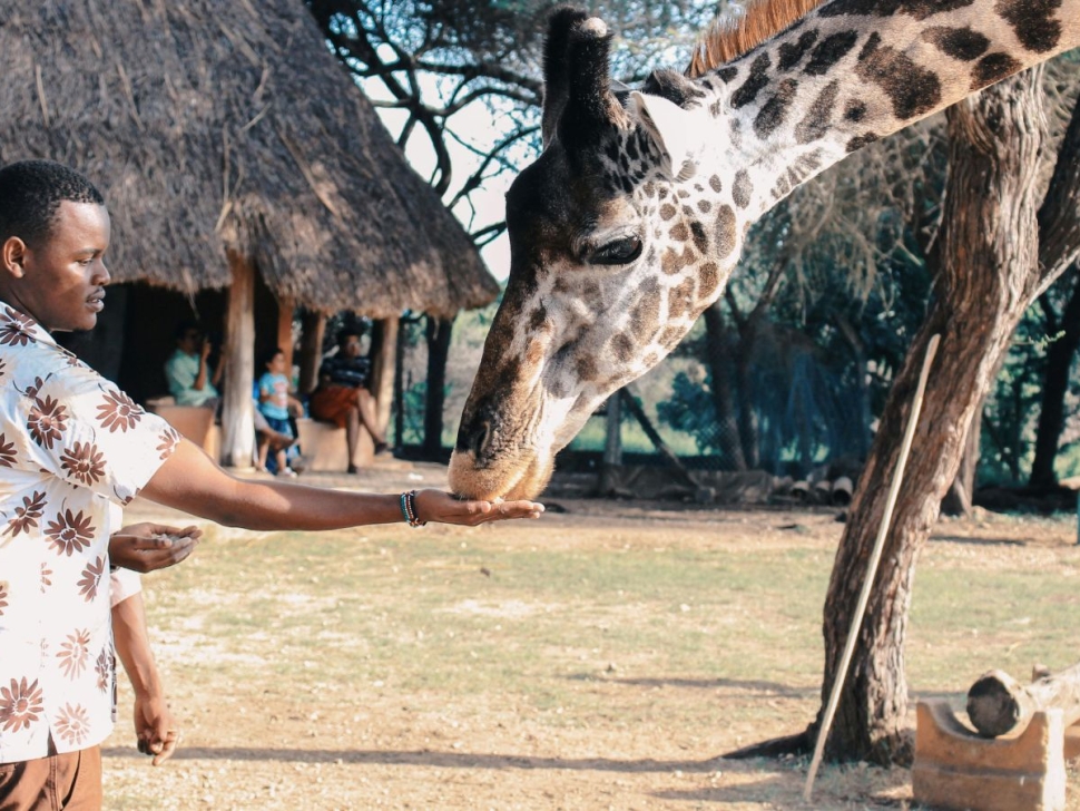 pexels-git-stephen-gitau-302905-1670732