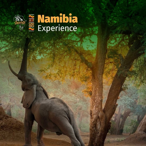 NamibiaExperience