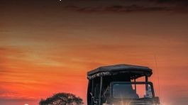 SouthafricaExperience