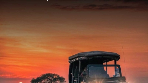 SouthafricaExperience