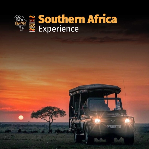SouthafricaExperience