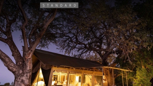 Swafari2026Experience