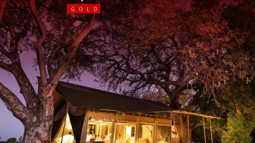 Swafari2026ExperienceGold