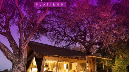 Swafari2026ExperiencePlatinum